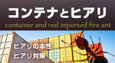 コンテナとヒアリ